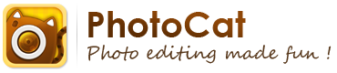photocat
