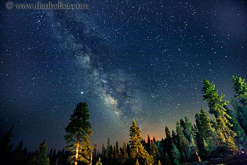 milky_way-galaxy-n-trees-1-big milky_way-galaxy-n-trees-1-big